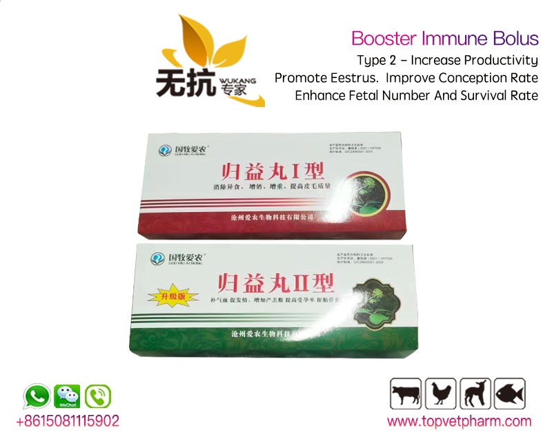 Booster Immune Bolus 