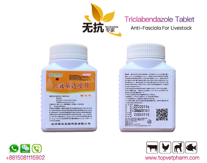 Triclabendazole Tablet 