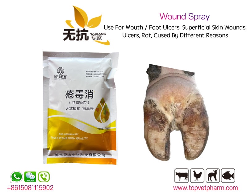 Wound Spray