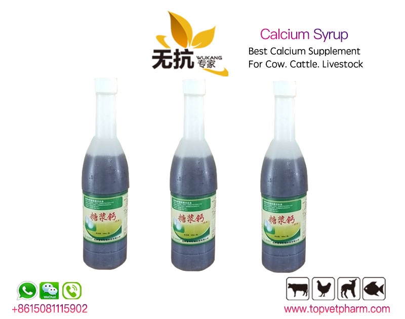 Calcium Syrup