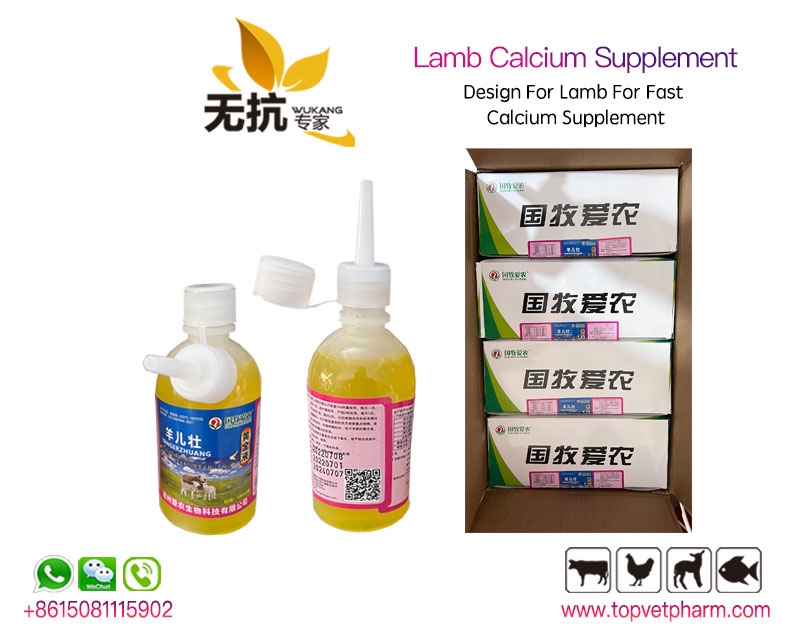 Lamb Calcium Supplement