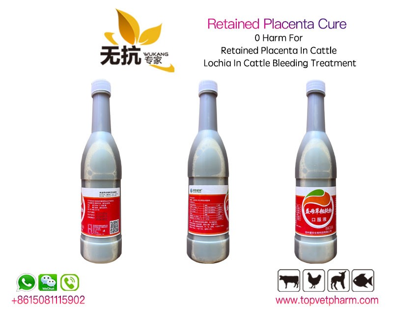 Retained Placenta Cure