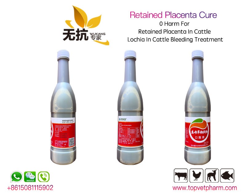 Retained Placenta Cure