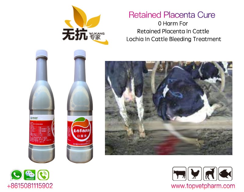 Retained Placenta Cure