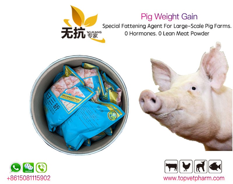 Pig Weight Gain