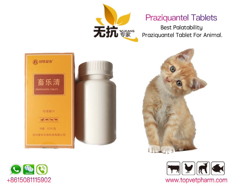 Praziquantel Tablet