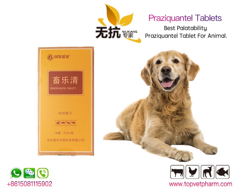 Praziquantel Tablet