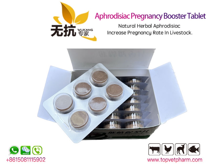 Aphrodisiac Pregnancy Booster Tablet