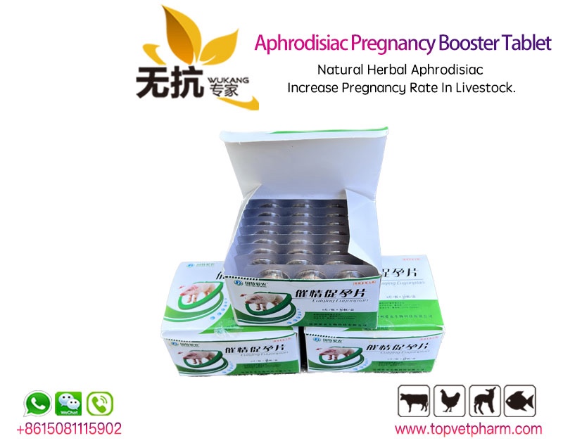 Aphrodisiac Pregnancy Booster Tablet