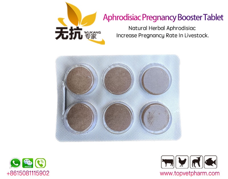 Aphrodisiac Pregnancy Booster Tablet