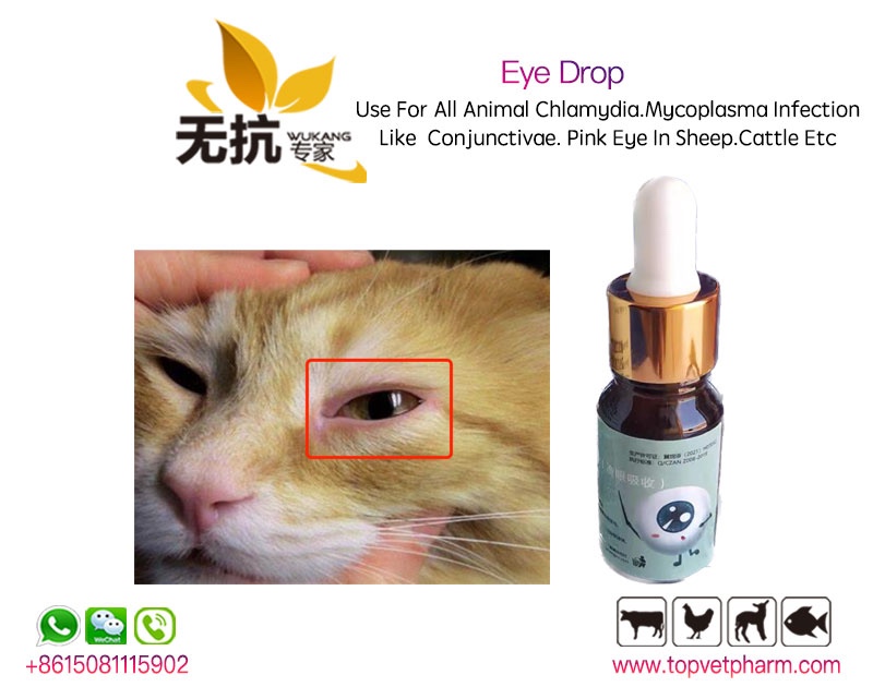 Eye Drop