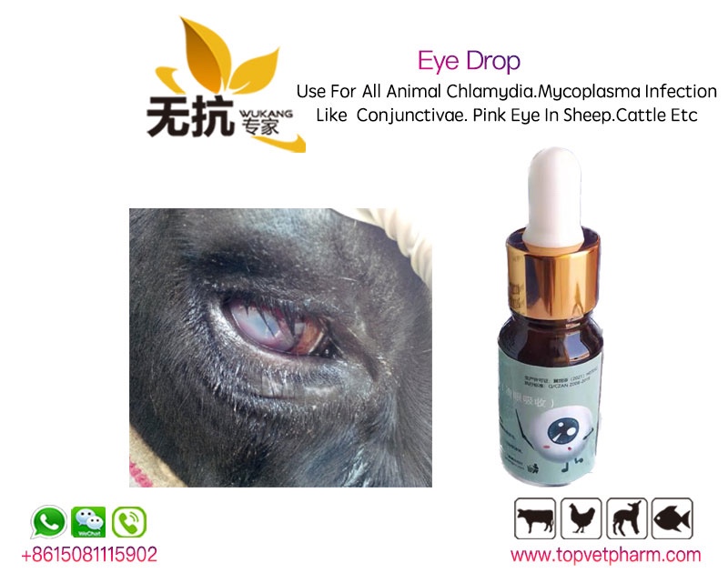 Eye Drop