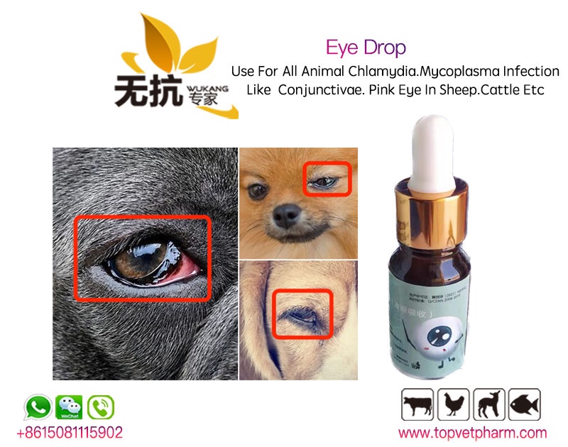 Eye Drop