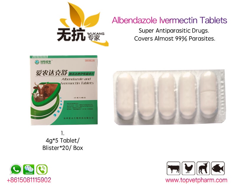 Albendazole Ivermectin Tablets