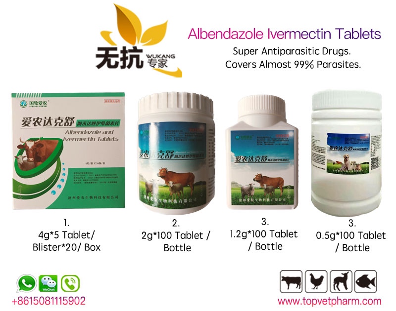 Albendazole Ivermectin Tablets