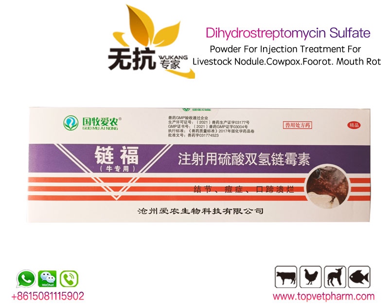 Dihydrostreptomycin Sulfate Powder For Injection