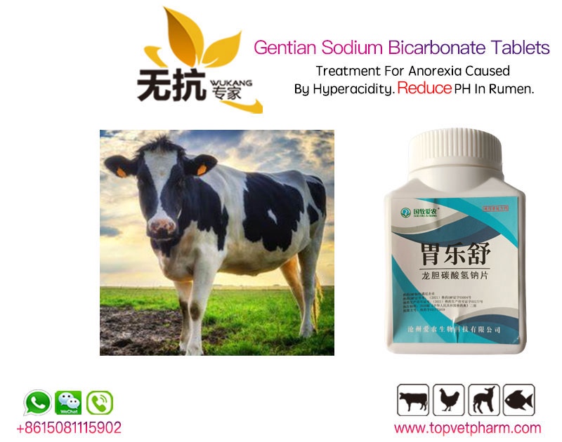 Gentian Sodium Bicarbonate Tablets