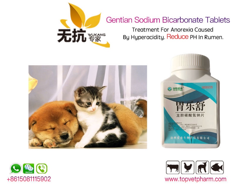 Gentian Sodium Bicarbonate Tablets