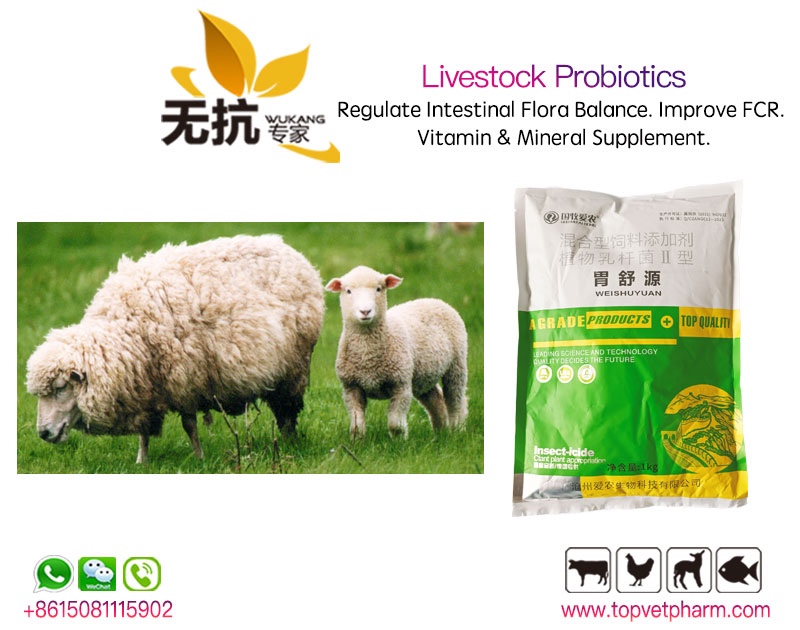 Livestock Complex Strain Probiotics