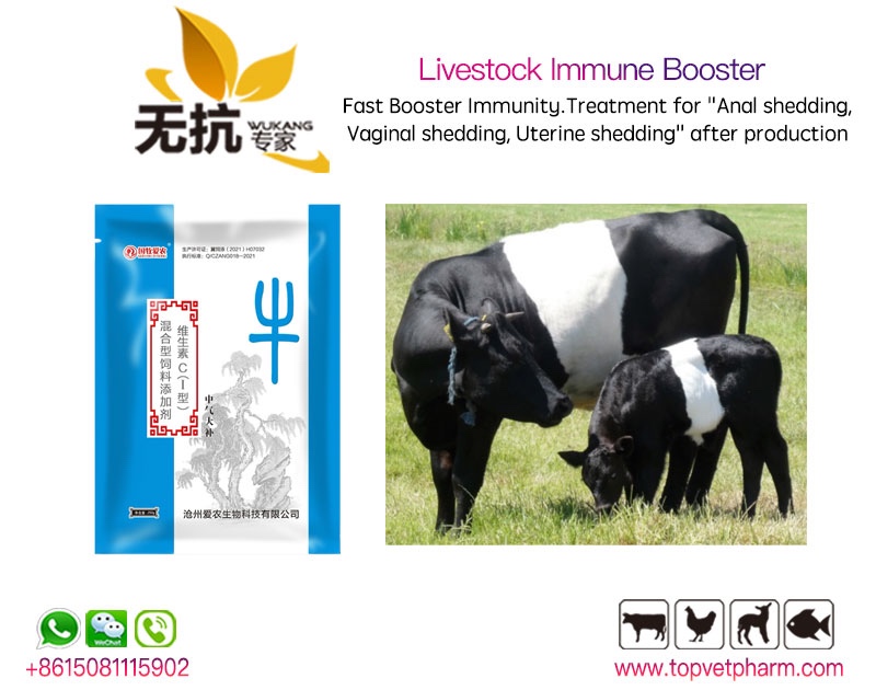Livestock Immune Booster