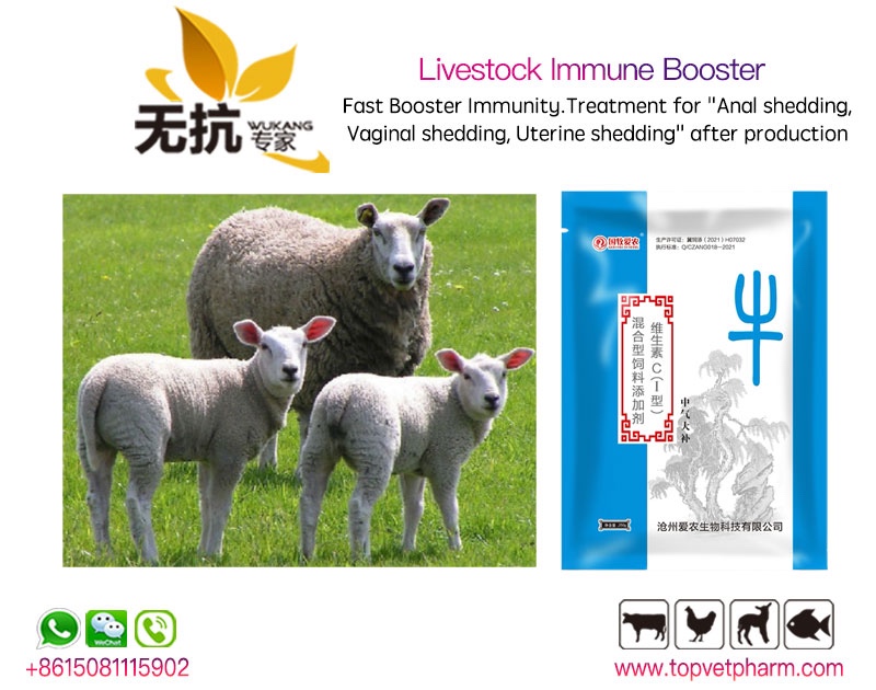 Livestock Immune Booster