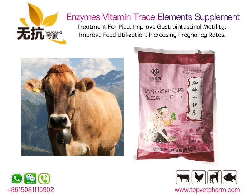 Enzymes Vitamin Trace Elements Supplement