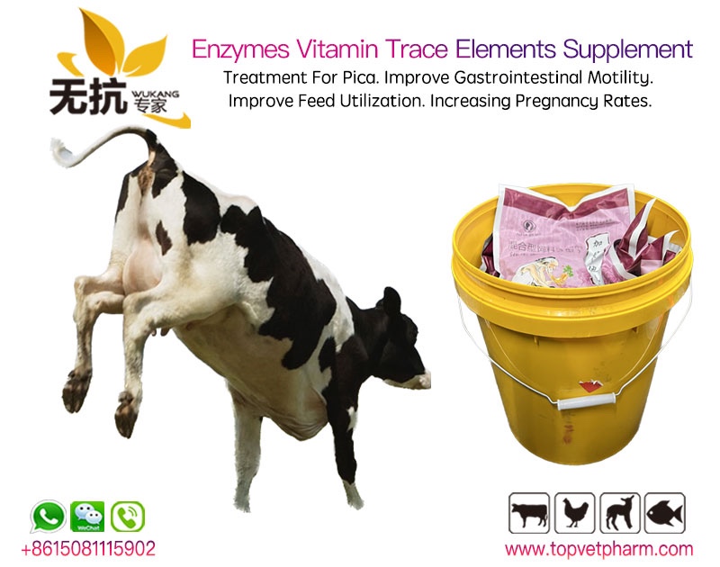 Enzymes Vitamin Trace Elements Supplement