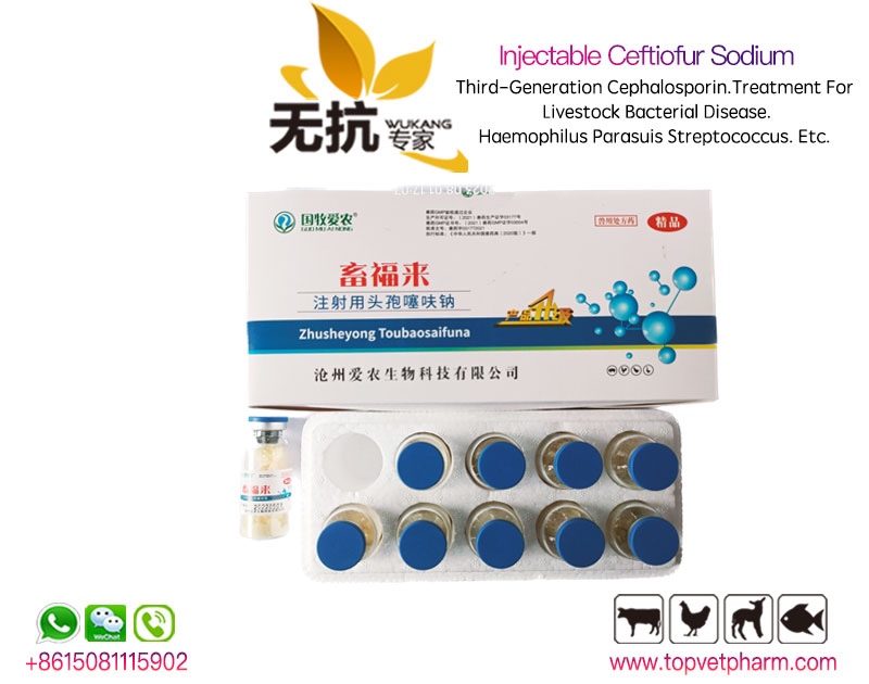 Injectable Ceftiofur Sodium Powder