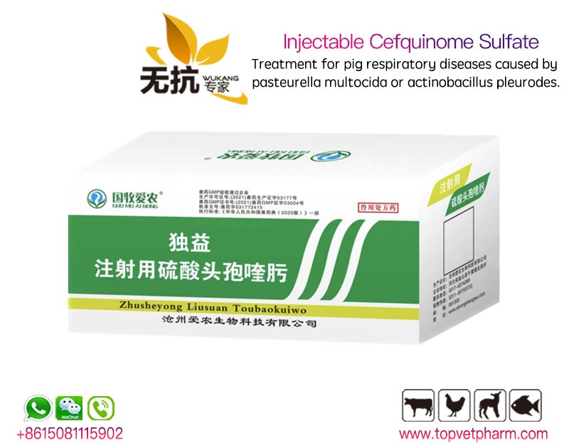 Injectable Cefquinome Sulfate