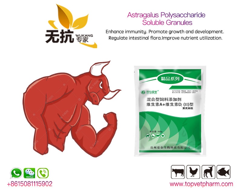 Astragalus Polysaccharide Soluble Granules