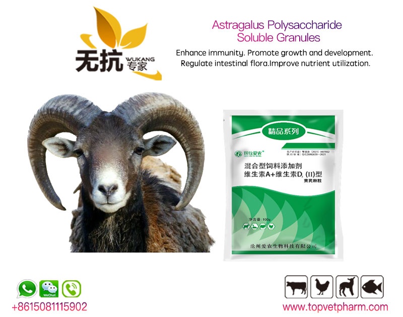 Astragalus Polysaccharide Soluble Granules