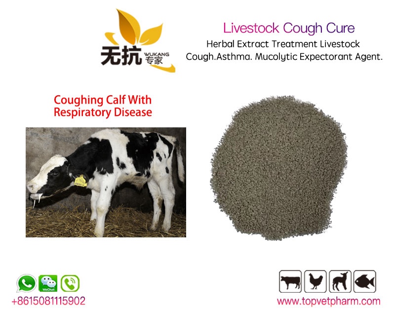 Livestock Cough Cure