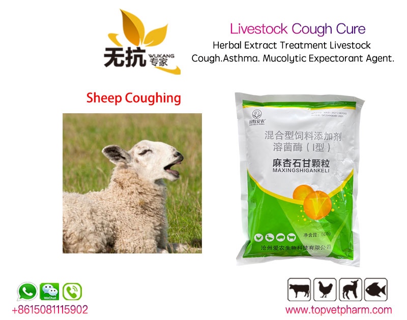 Livestock Cough Cure