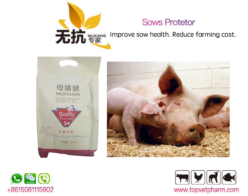 Sows Protetor