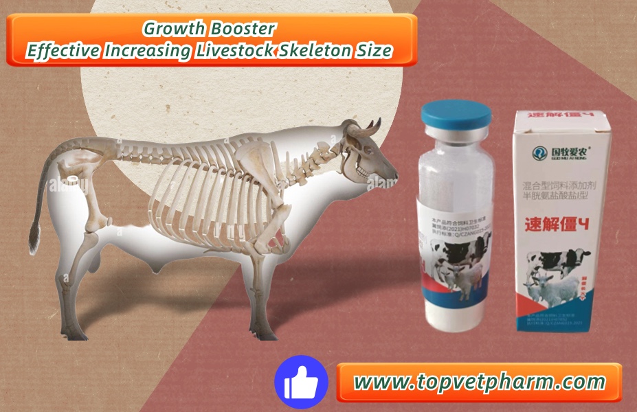 How to make cow growing fast and skeleton more bigger ???