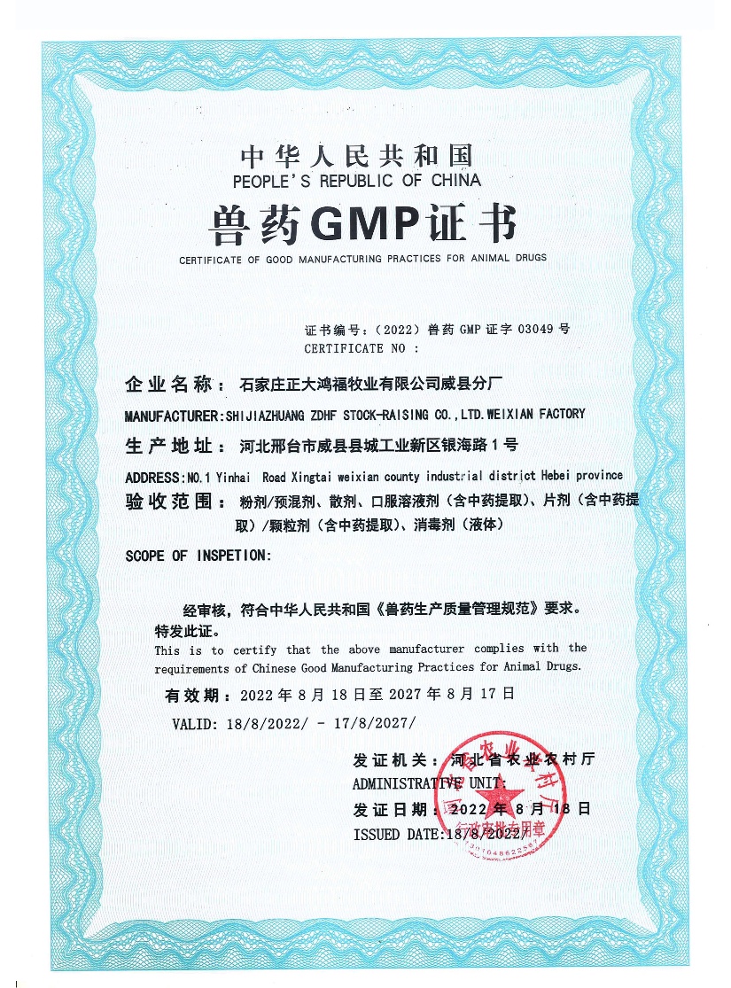 Gmp Certification