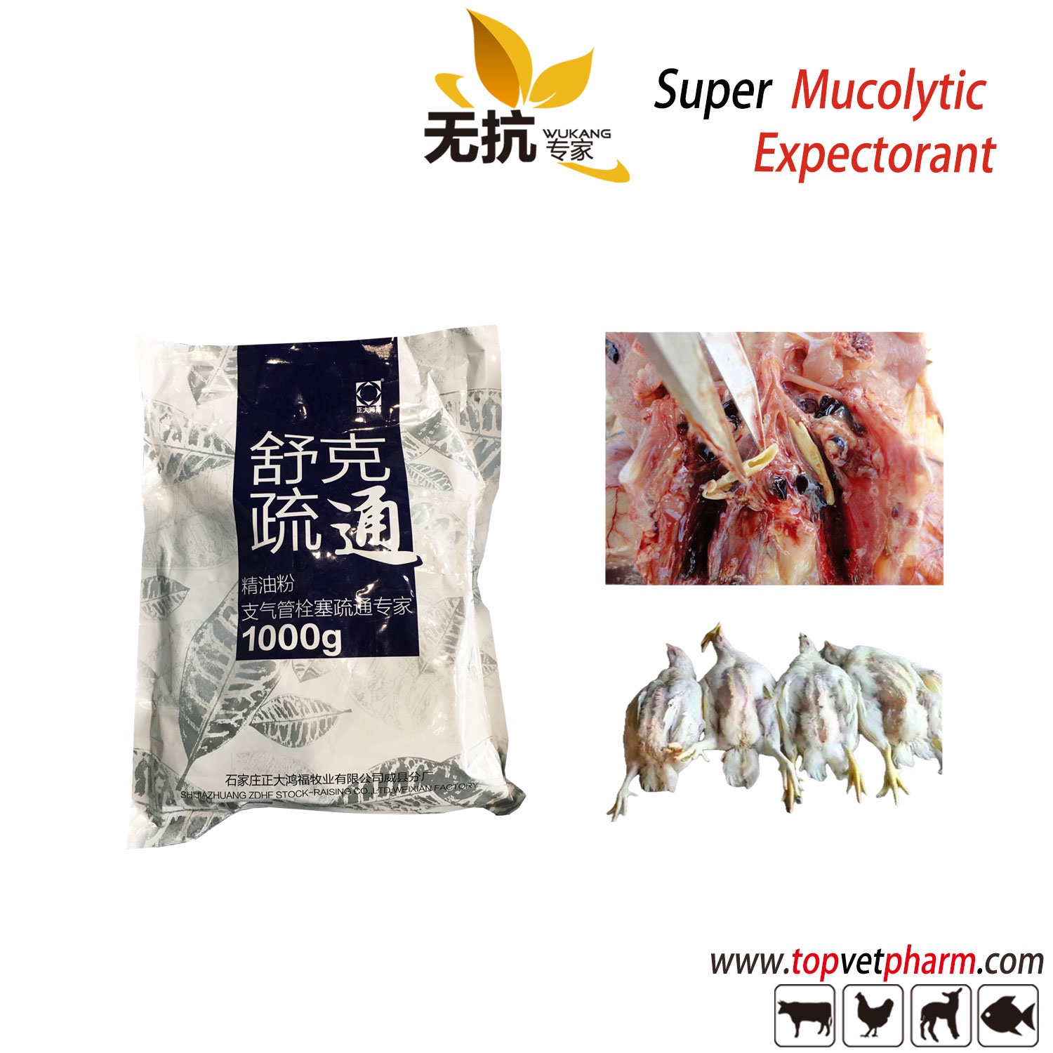 Super Mucolytic Expectorant Medicine For Poultry 